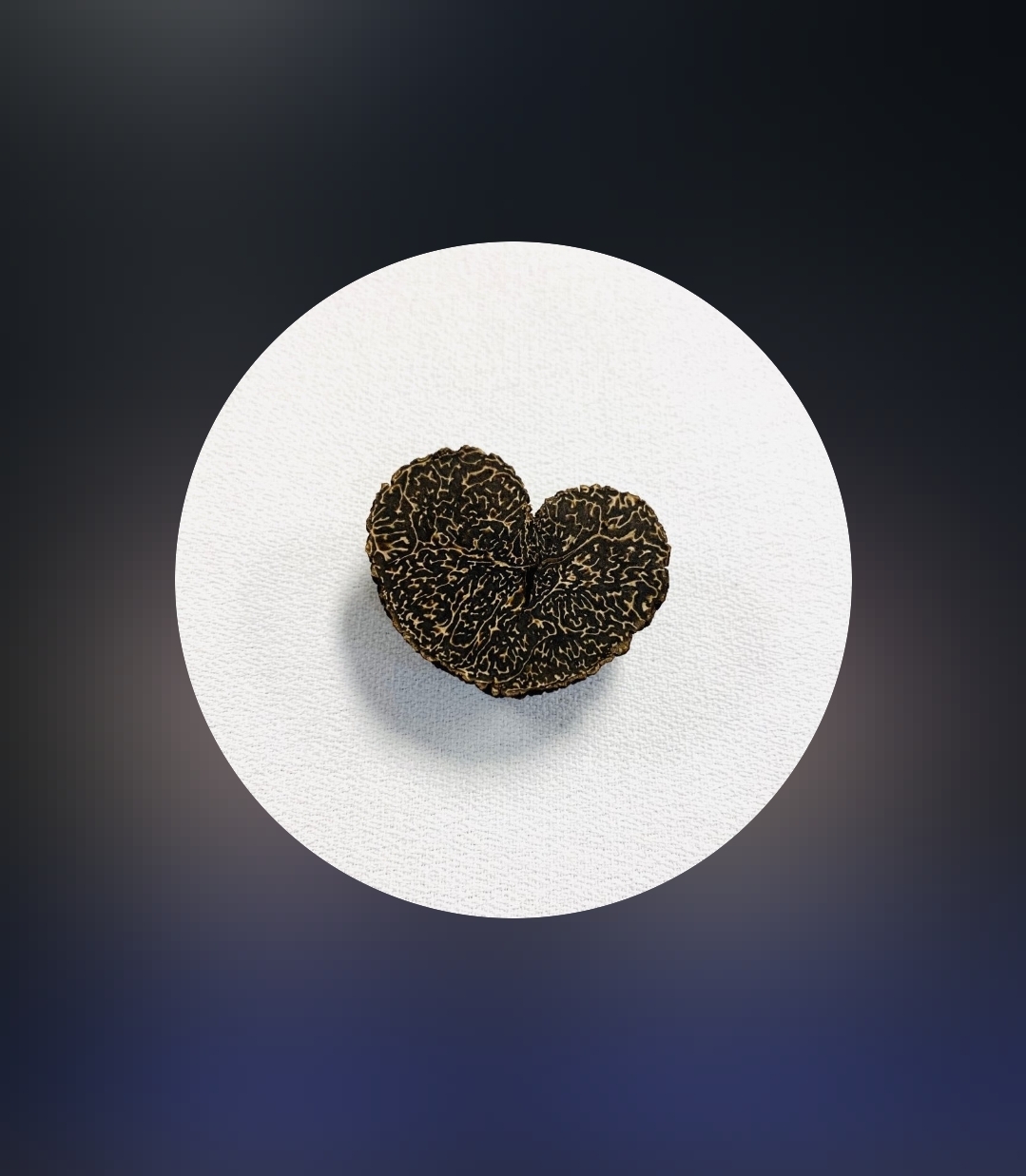 [잡담] 손종원 인스타 프로필 사진 귀엽 | 인스티즈