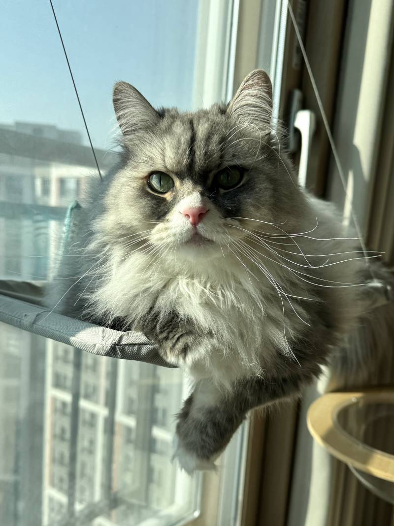 [잡담] 나 공주같애 왕자같애? | 인스티즈