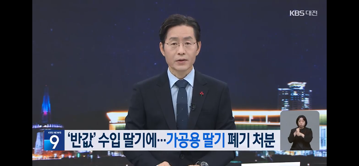 [정보/소식] "없어서 못 먹는데”…딸기 수백kg씩 폐기 | 인스티즈