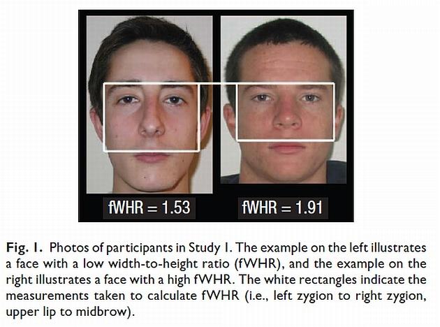 [잡담] 연구로 밝혀진 알파메일에 가까운 얼굴형 | 인스티즈