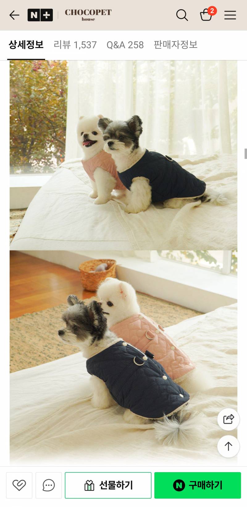 [잡담] 강쥐 겨울 옷 사려는데 추천해주라 | 인스티즈