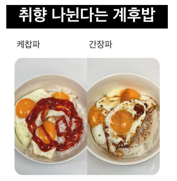 현재 서로 영원히 이해못한다는 계란후라이밥..JPG | 인스티즈