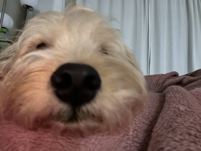 [잡담] 귀엽징 | 인스티즈