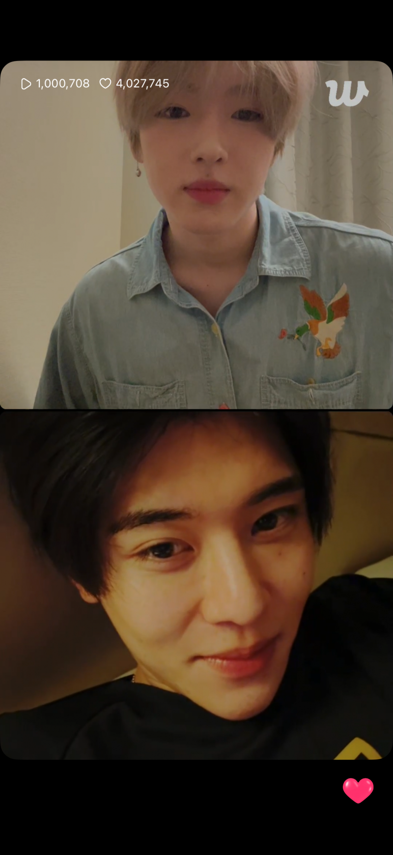 [잡담] 사쿠야 시온 라방 너무 연상과 갓 성인의 그것임 | 인스티즈