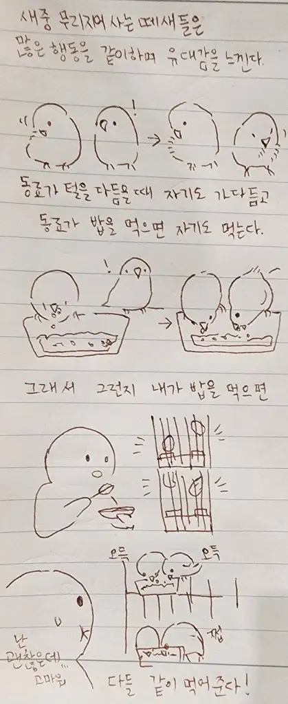 새들의 동료애 | 인스티즈