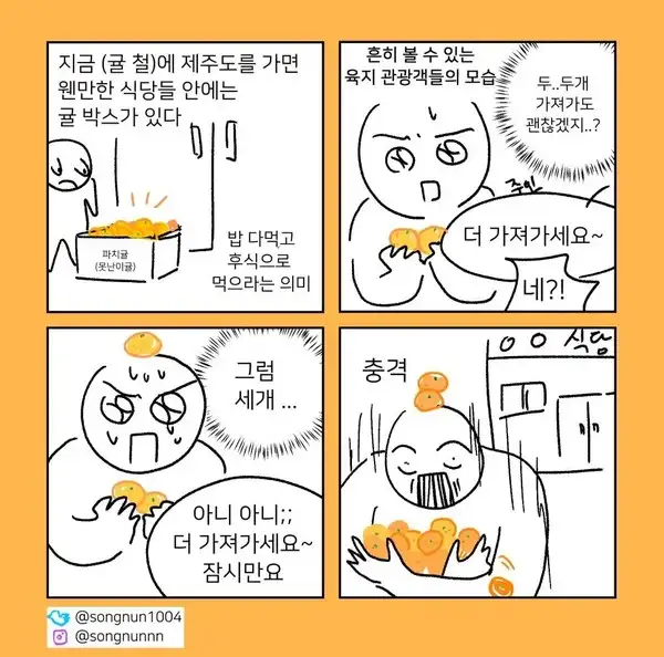 제주도에서 귤의 인식 | 인스티즈