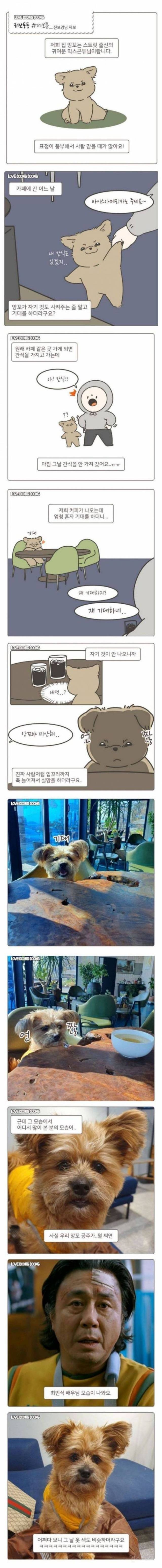 표정이 풍부한 댕댕이 만화 | 인스티즈
