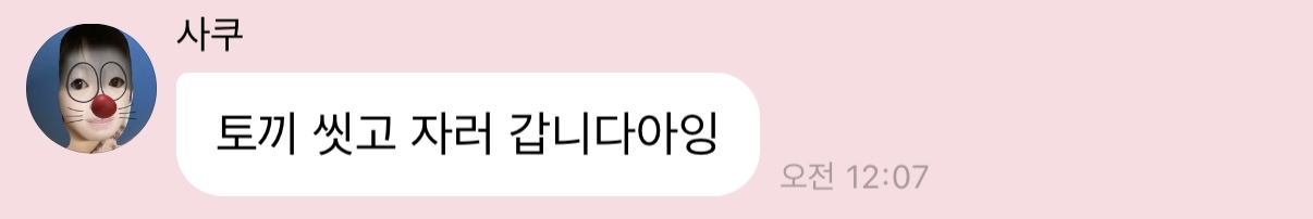 [잡담] 사쿠야는 토끼가 맞다 | 인스티즈