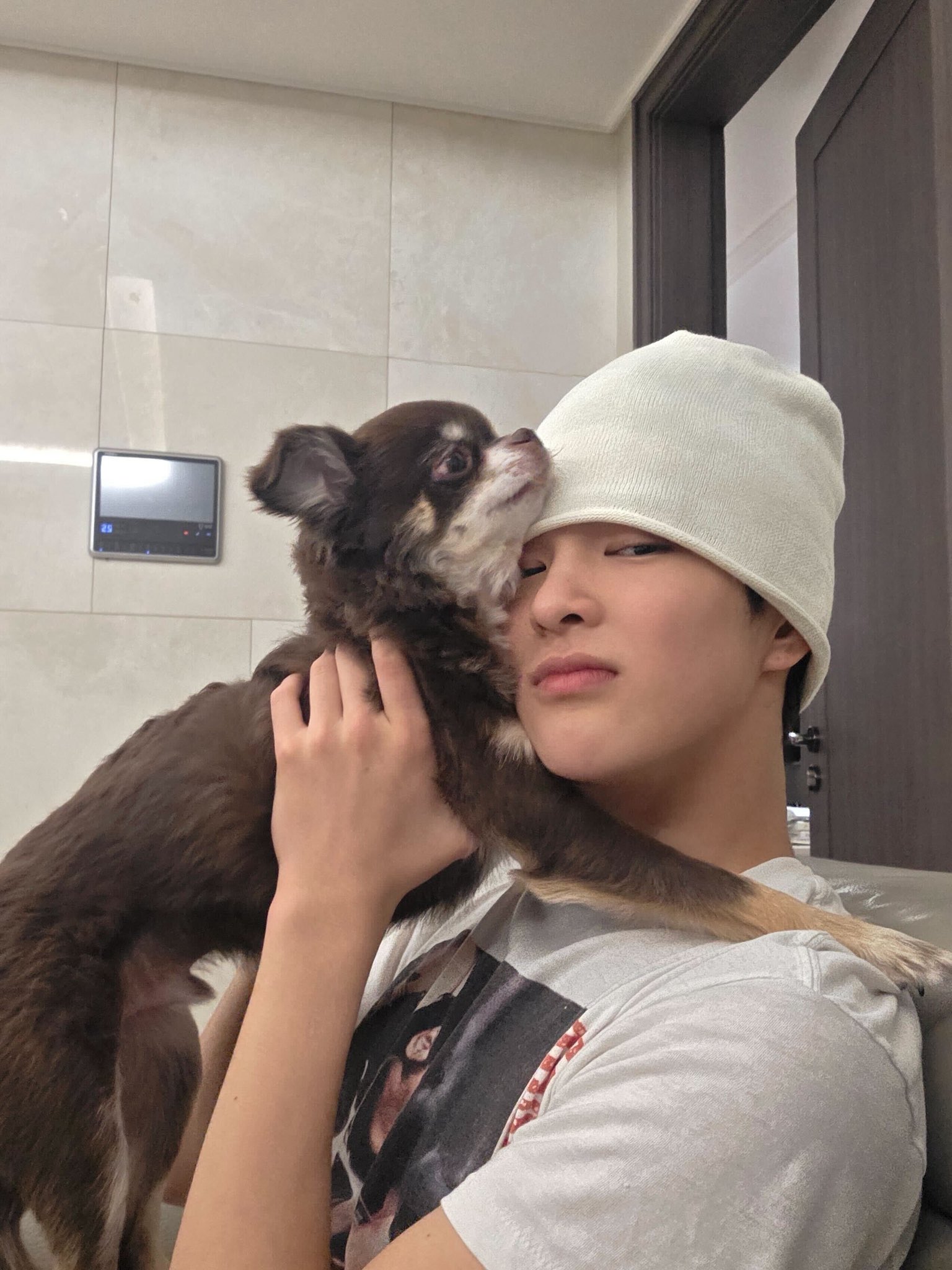 [잡담] 코르티스 건호네 쿠키가 좀 큰편인가? | 인스티즈