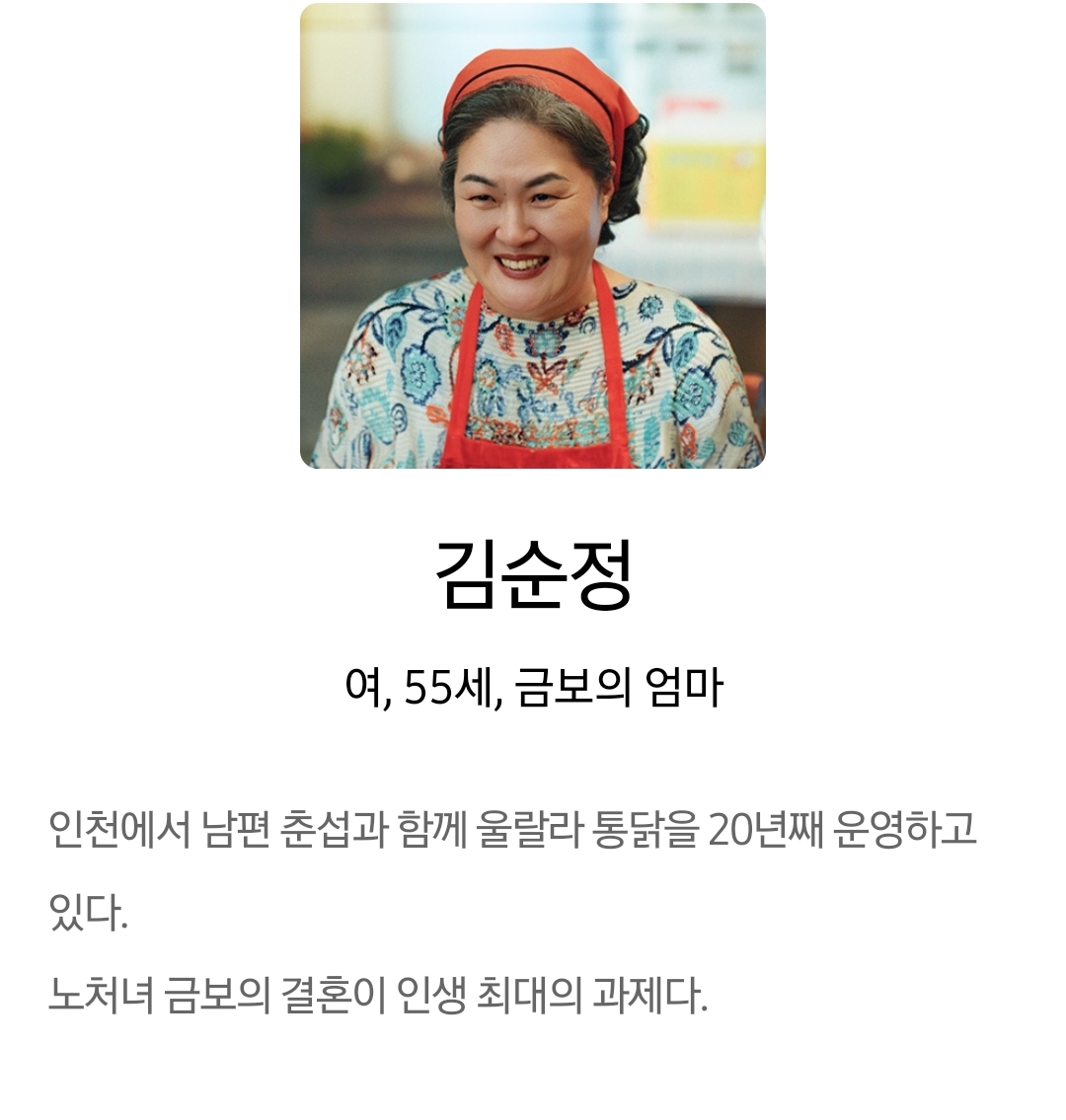 [정보/소식] 언더커버미쓰홍) 공홈 기획의도&인물관계도&인물소개 | 인스티즈