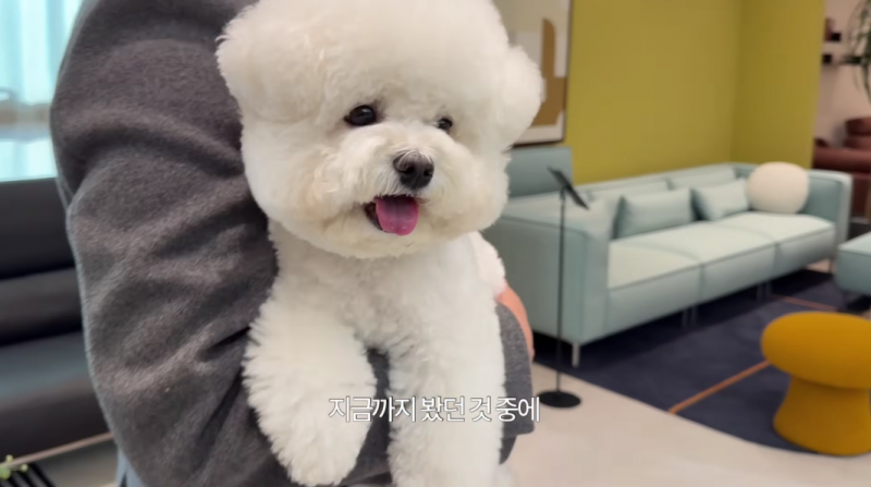 [잡담] 꼬마농부 진목화 아는사람?? | 인스티즈