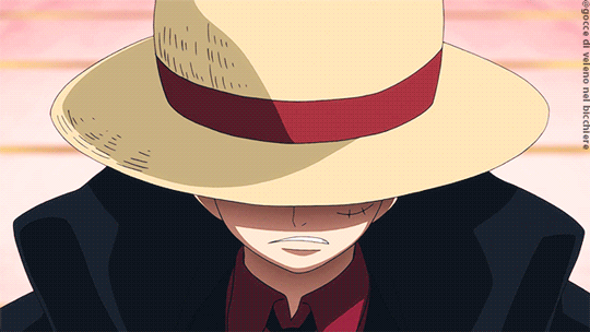 [잡담] 원피스 밀짚모자 일당 수트 뭐야?? | 인스티즈