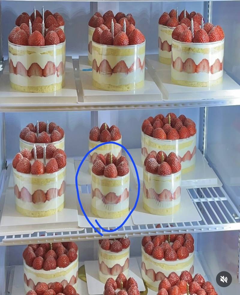 [잡담] 익들이 생일이라면 케이크로 뭘 받고싶어? | 인스티즈