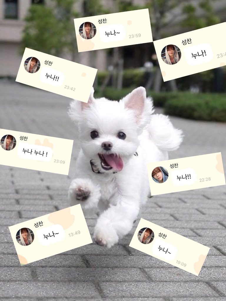 [잡담] 성찬은 냉미남 모먼트와 그 반대성격 갭이 사람 미치게함 | 인스티즈