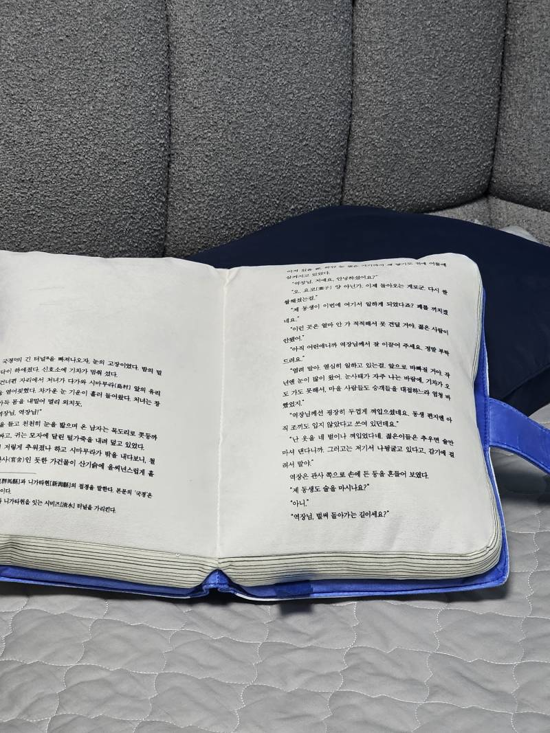 [잡담] 나 베개 산거 구경할 사람ㅋㅋ | 인스티즈