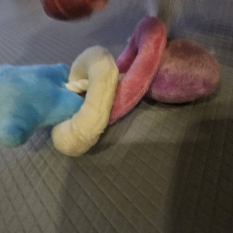 [잡담] (도와주세요)단종된 강아지 장난감 구매사이트 찾아줄 사람 ㅠㅠ | 인스티즈