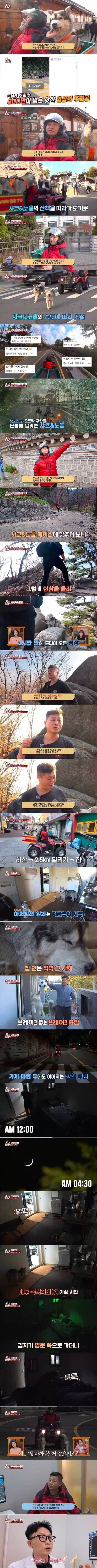 [잡담] 학대 논란이 있는 허스키 견주 | 인스티즈