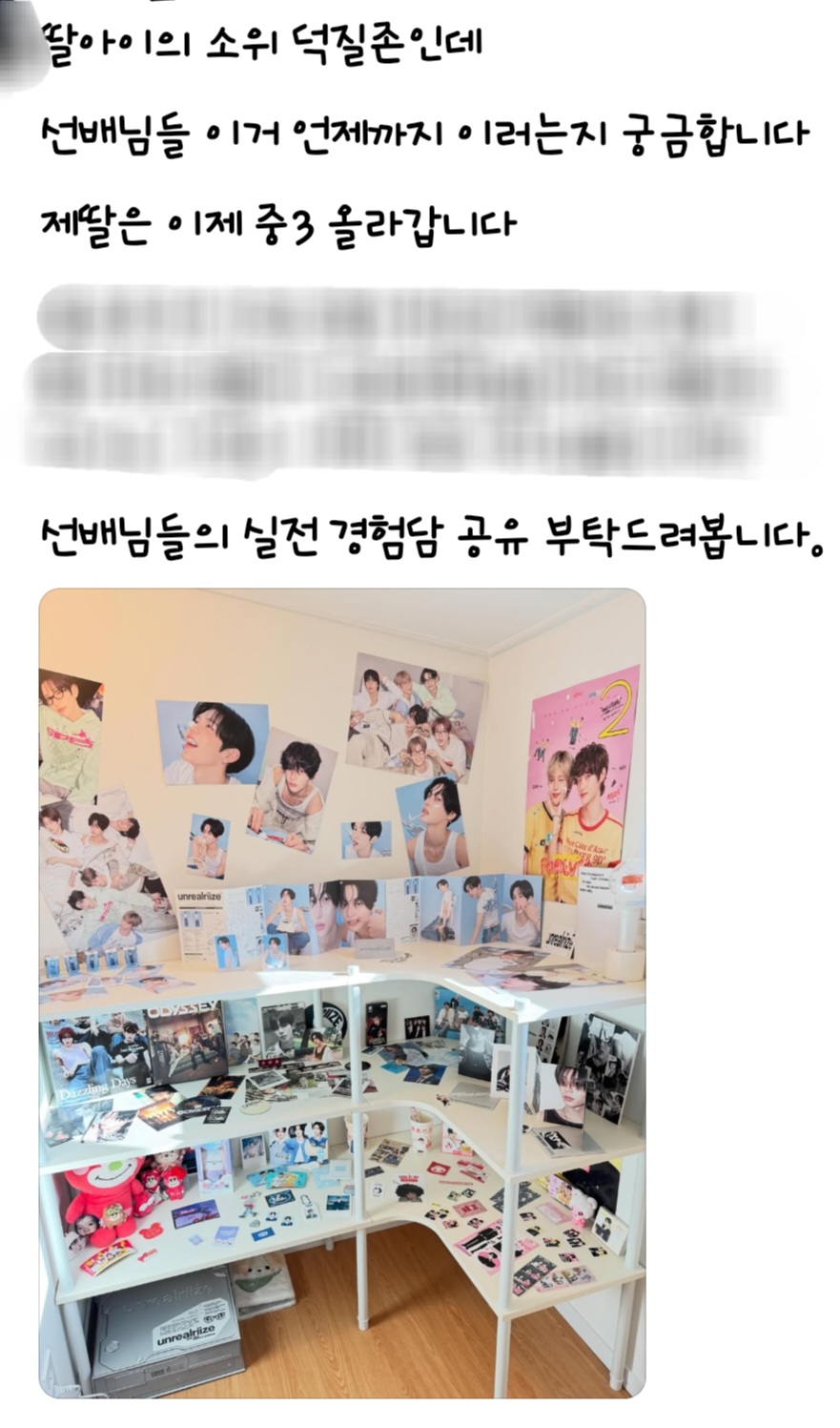 [잡담] 라이즈 중3팬 덕질존 개부럽다 미친 저거다 돈이얼마임 | 인스티즈