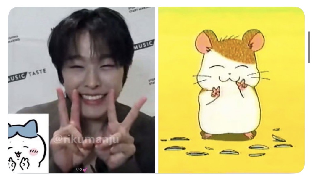 [잡담] 리쿠 좋은점 | 인스티즈