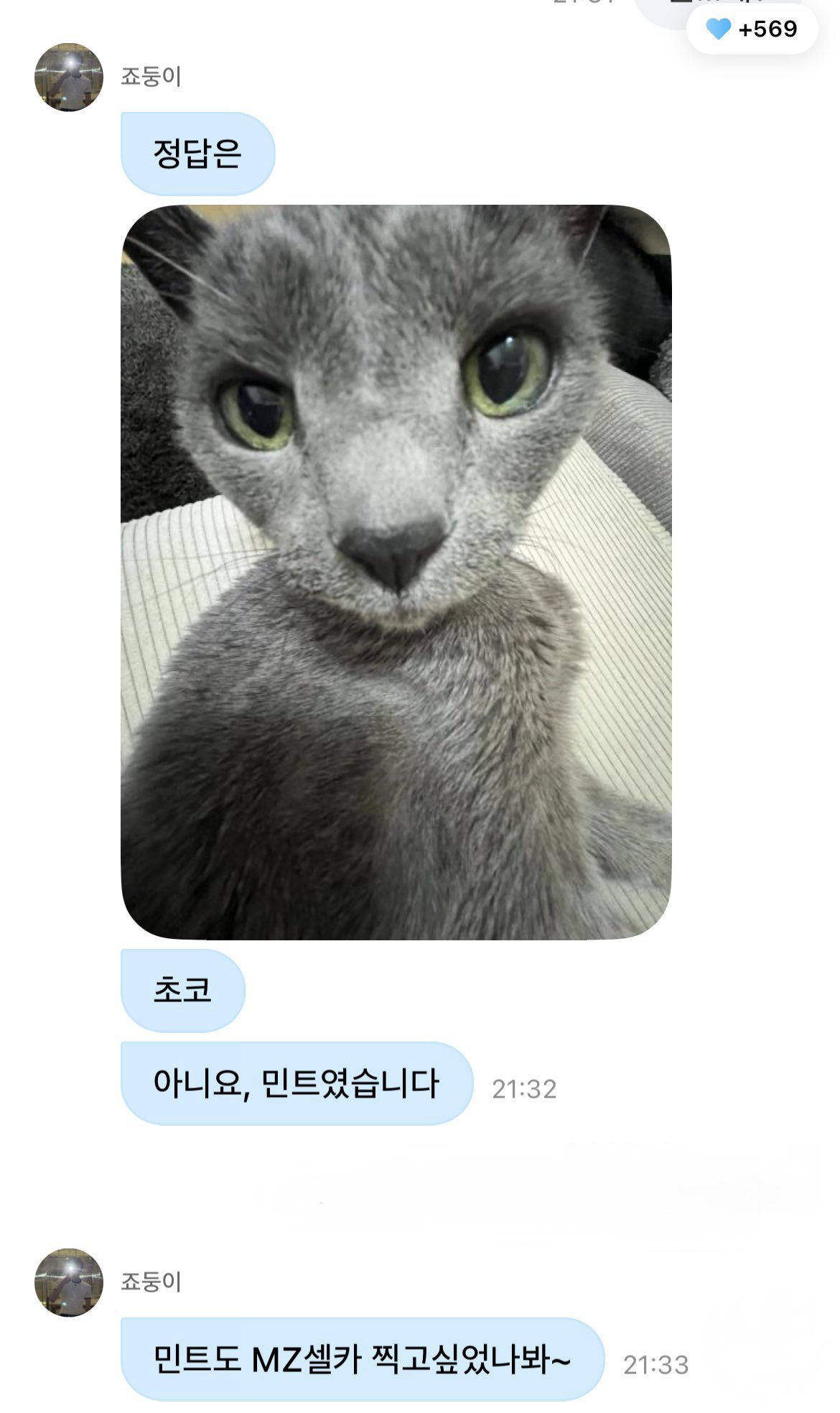 [잡담] 앤팀 죠 고양이 너무 귀여워 | 인스티즈