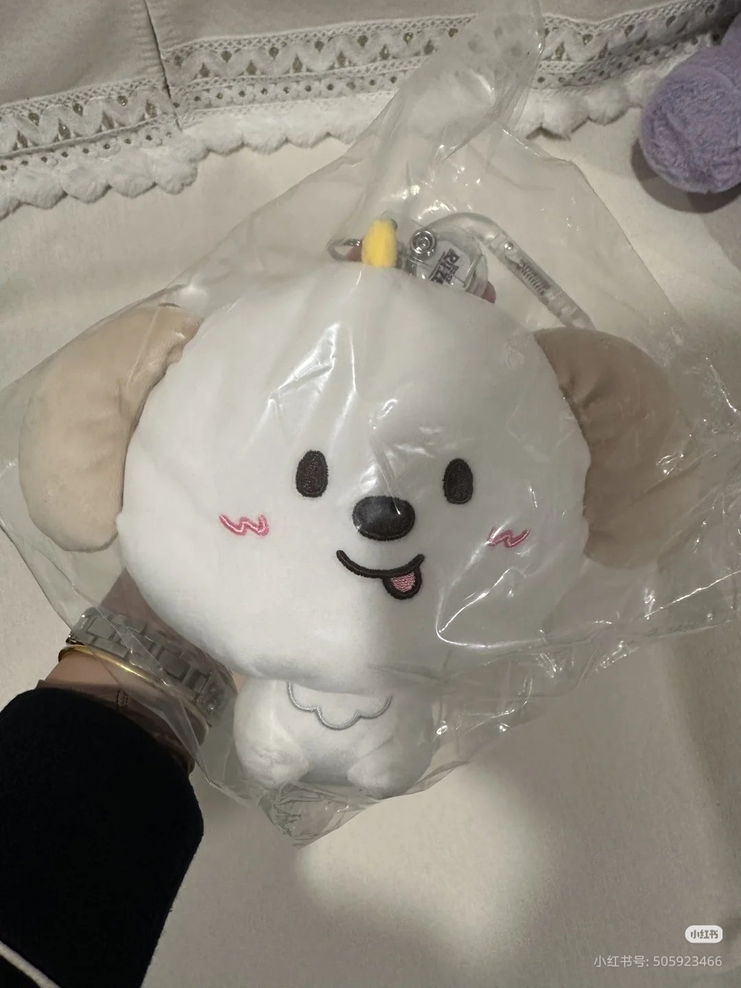 [잡담] 앤톤 중국 멍룡이 동전 지갑이래 | 인스티즈