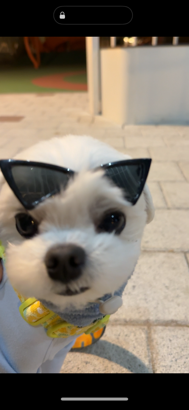 [잡담] 울집 멋쟁이 가나다 볼사람!!🫶🏻 | 인스티즈