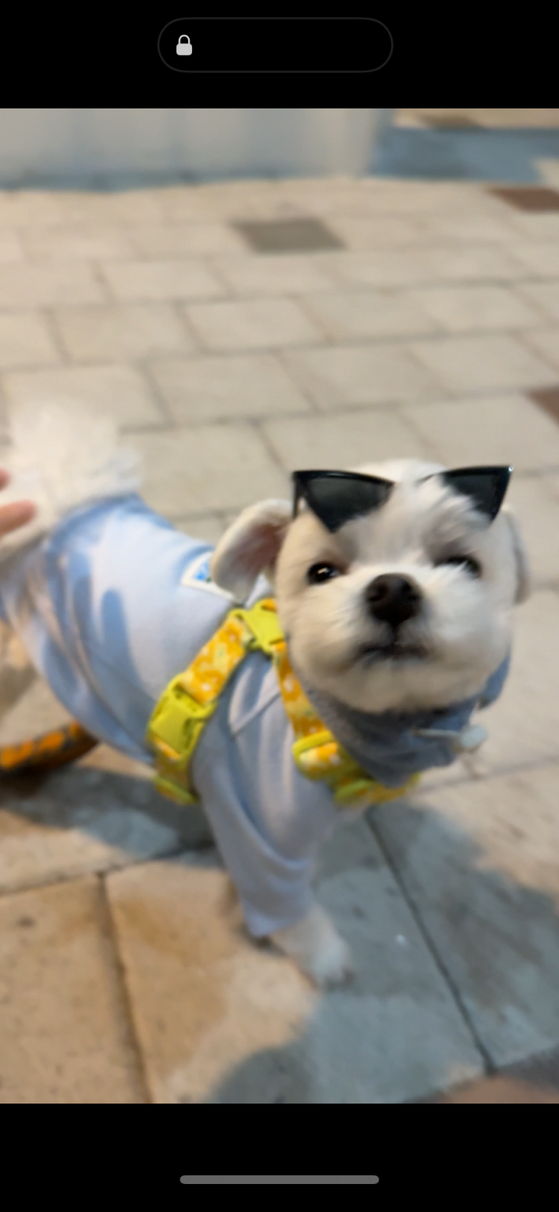 [잡담] 울집 멋쟁이 가나다 볼사람!!🫶🏻 | 인스티즈