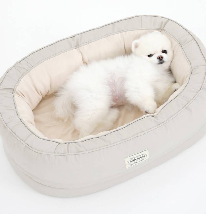 [잡담] 강아지 방석 이거 어때 | 인스티즈