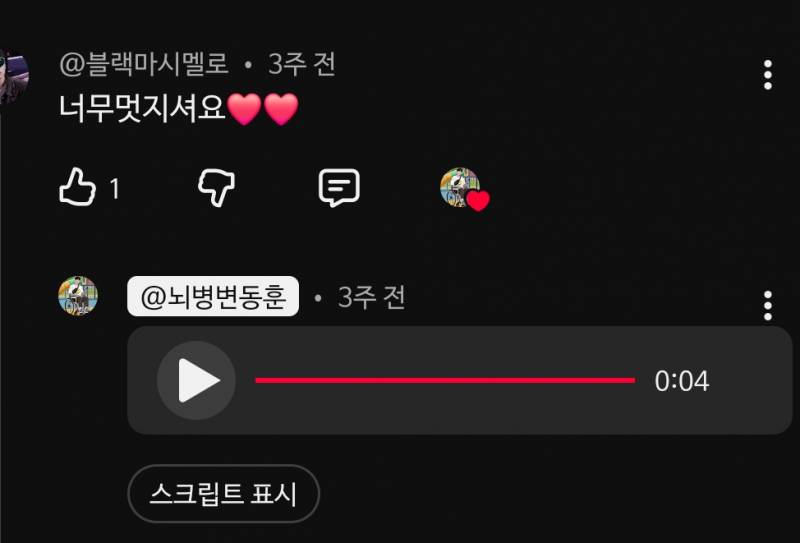 [잡담] 와 유투브댓글에 음성 올릴수잇는거 알앗음? | 인스티즈
