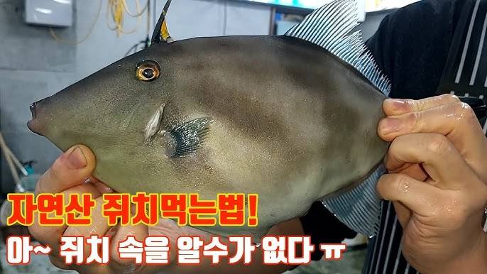 [잡담] 나 오늘 개못생긴 생선 먹음ㅋㅋㅋㅋ | 인스티즈