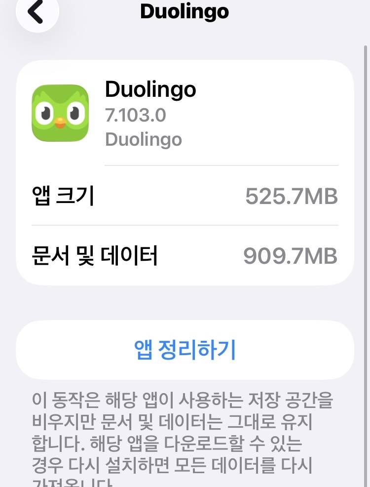 [잡담] 듀오링고 앱 데이터 큰데 어떻게 정리 안되나? | 인스티즈
