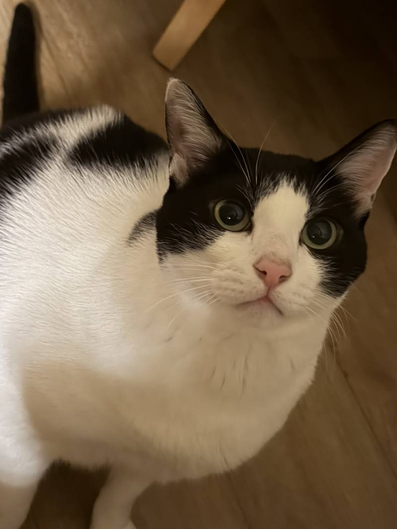 [잡담] 아 귀찮게 좀 하지마 | 인스티즈