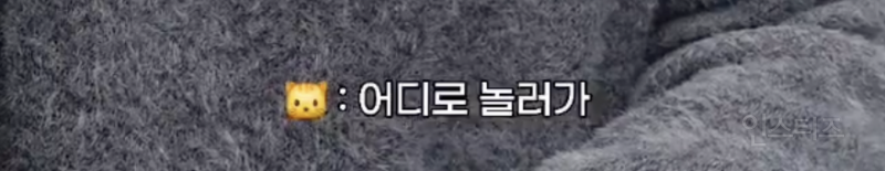 질투하는 연하남 재질이라는 남돌 팬싸 후기...JPG | 인스티즈