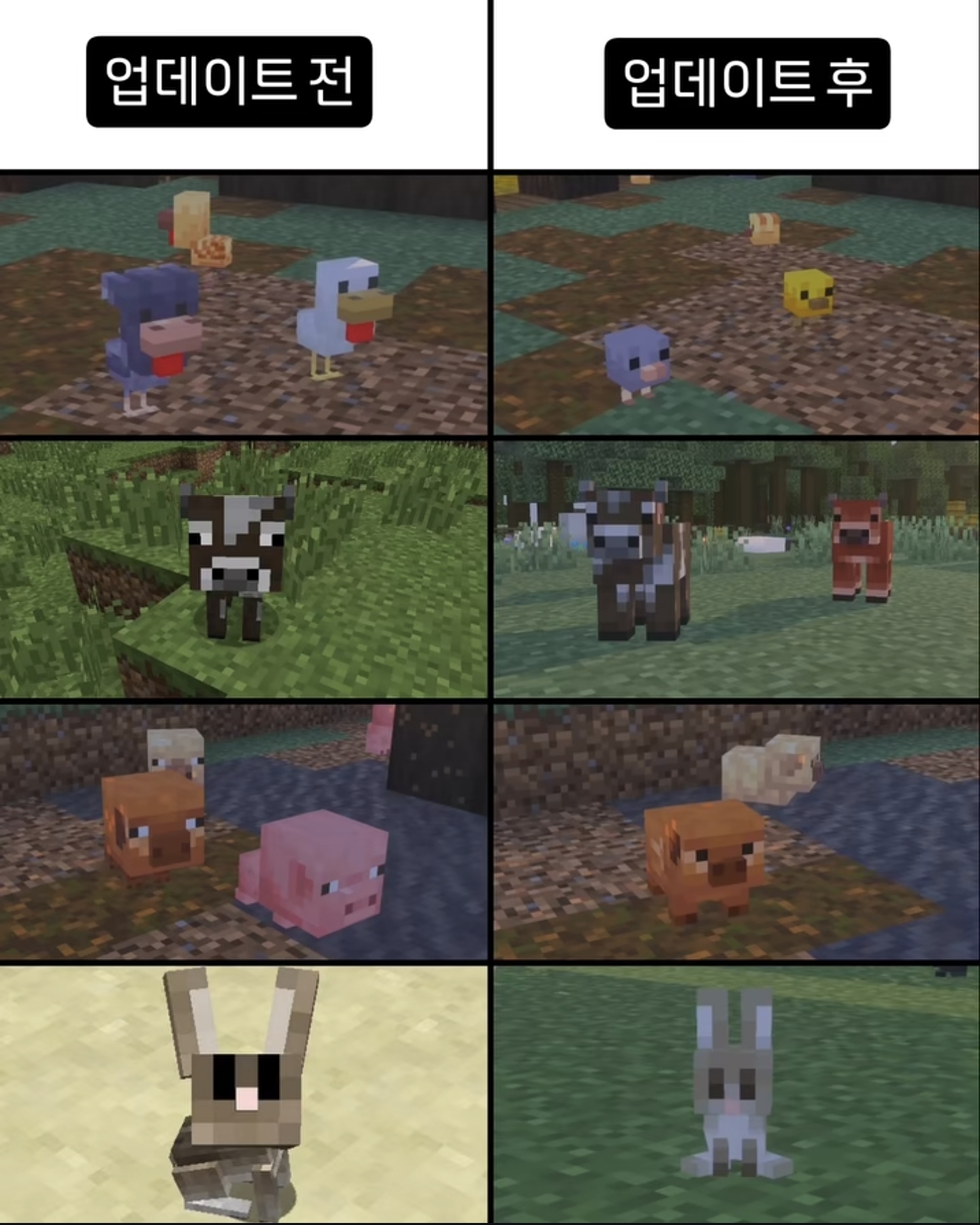 [잡담] 마인크래프트 아기동물 디자인 바꿨믄데 개큰귀여움임 | 인스티즈
