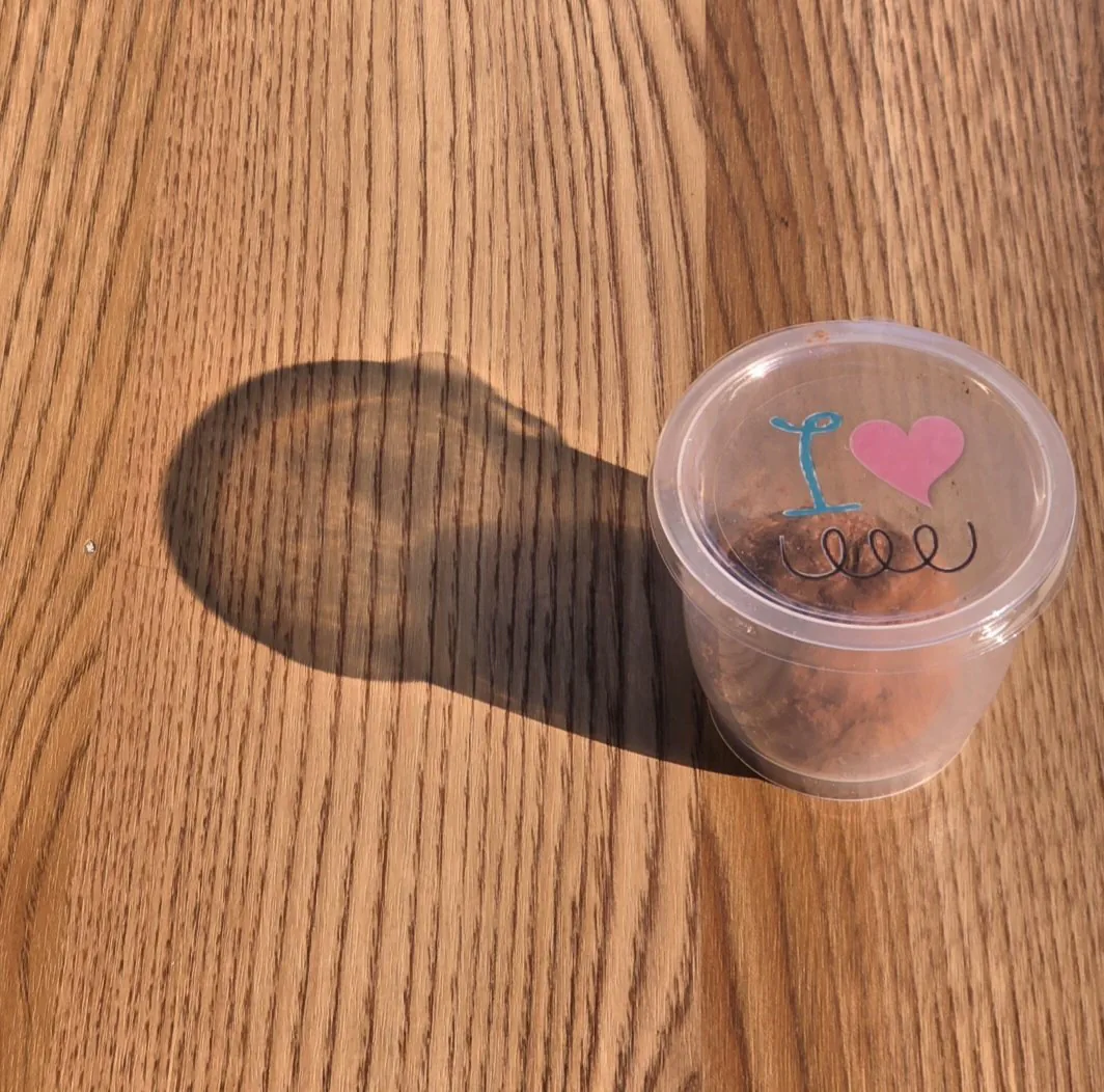 [정보/소식] 두바이쫀득쿠키 두쫀쿠 기부 논란 | 인스티즈