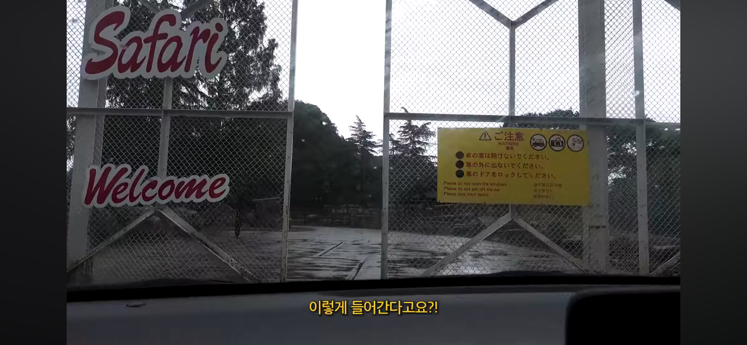 [잡담] 일본은 사파리에 일반인이 렌트카 끌고 들어갈 수 있네 신기하다 | 인스티즈