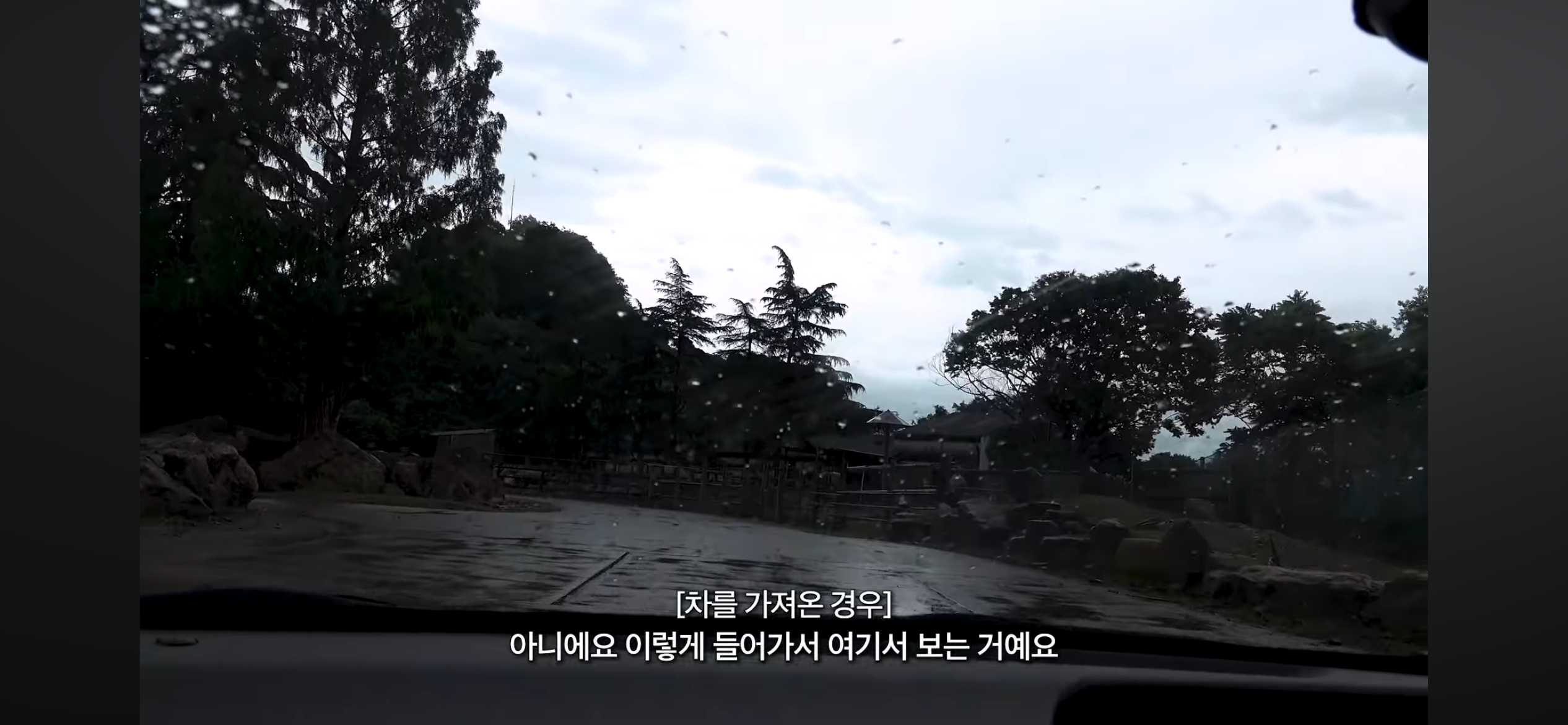 [잡담] 일본은 사파리에 일반인이 렌트카 끌고 들어갈 수 있네 신기하다 | 인스티즈