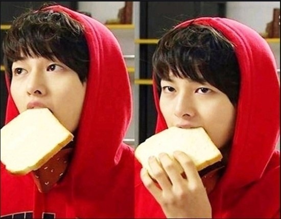 [잡담] 자칭 두부콜렉터가 사랑한 두부상 연예인들 | 인스티즈