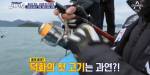방송 자막으로 프듀48 출연 연습생 비하한 도시어부 팀.jpg | 인스티즈