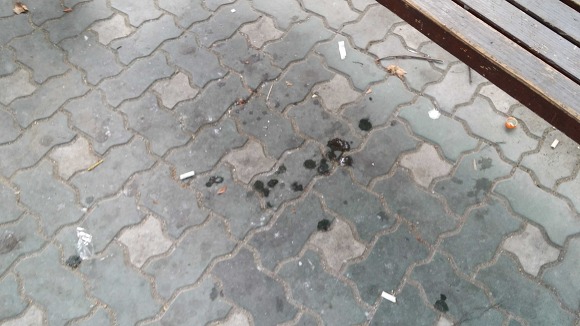 개인적으로 생각하는 우리나라 흡연자들이 유독 욕을 먹는 이유 | 인스티즈