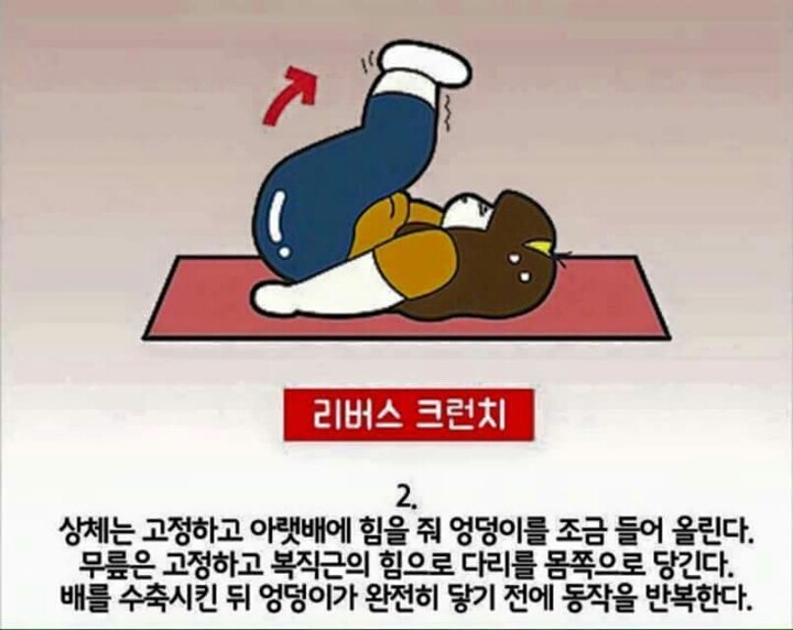 4분운동으로 1시간효과를 보는 뱃살 빼는 4분 타바타 운동법 | 인스티즈