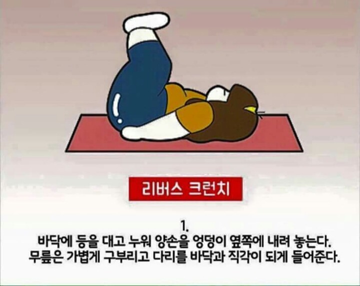 4분운동으로 1시간효과를 보는 뱃살 빼는 4분 타바타 운동법 | 인스티즈
