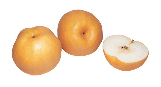 배 하면 뭐가 먼저 떠오르는 것은? | 인스티즈