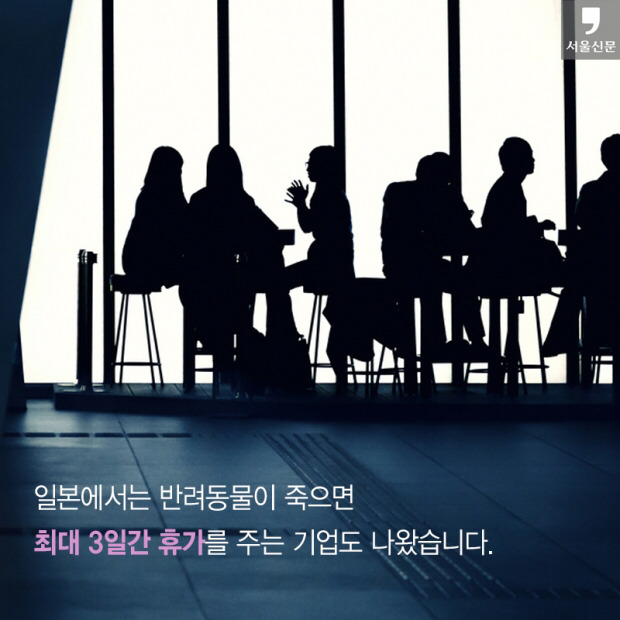 처음 반려동물 만났을때 너무 좋고 예뻐서 전혀 생각하지 못하는 것.jpg | 인스티즈