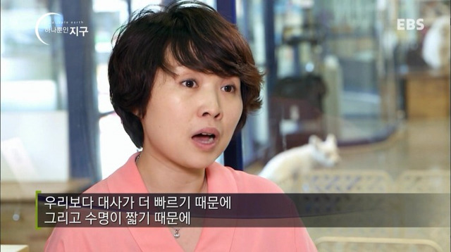 처음 반려동물 만났을때 너무 좋고 예뻐서 전혀 생각하지 못하는 것.jpg | 인스티즈