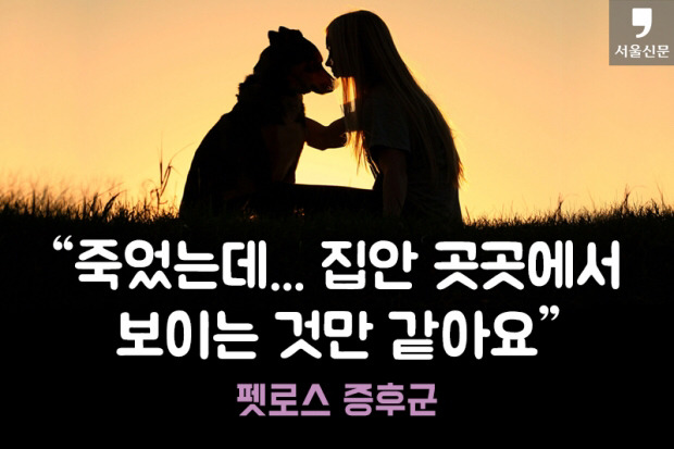 처음 반려동물 만났을때 너무 좋고 예뻐서 전혀 생각하지 못하는 것.jpg | 인스티즈