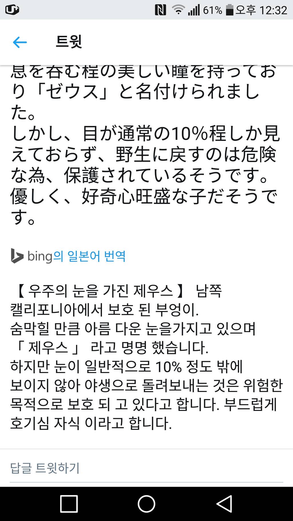 은하수 눈을가진 부엉이 | 인스티즈