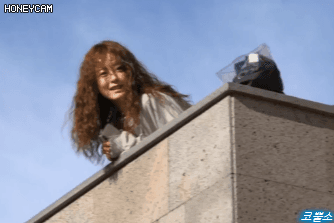 [윤식당2] 정유미.gif | 인스티즈