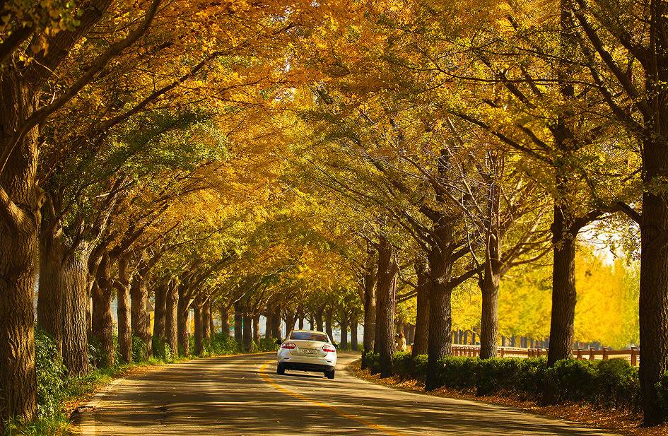 대한민국 최고의 드라이브코스들 총망라 | 인스티즈