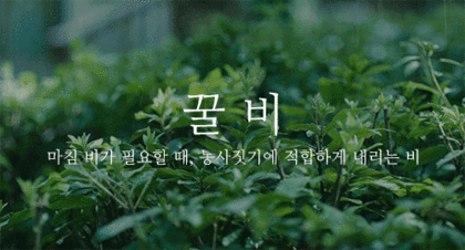  우리말로 된 예쁜 비이름 | 인스티즈